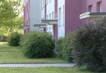 VIDEO: ZELENÉ OUSTÍ OZDRAVÍ SÍDLIŠTNÍ ZELEŇ