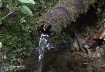 VIDEO: STUDÁNKY V OKOLÍ ČESKÉ TŘEBOVÉ
