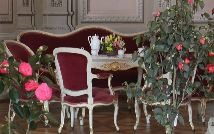 VIDEO: KAMÉLIE JEŠTĚ VÍCE ZKRÁŠLUJÍ ZÁMEK