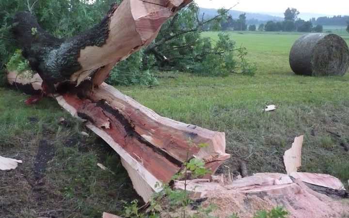 VÍTR VYVRACEL STROMY A STRHÁVAL STŘECHY