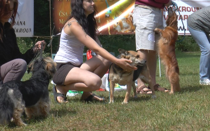 14. ROČNÍK „VOŘÍŠKIÁDY“ PŘIPOMNĚL KOUZLO KŘÍŽENCŮ