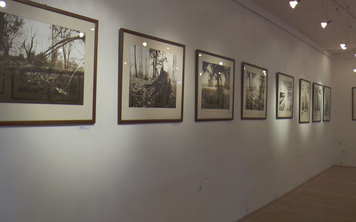 PAVEL TALICH ZACHYTIL STROMY NEOBVYKLÝM ZPŮSOBEM