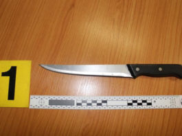 PARTNERSKÉ NESHODY SKONČILY TRAGÉDIÍ