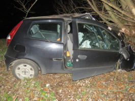 FIAT SKONČIL VE STROMECH, PO ŘIDIČI SE SLEHLA ZEM