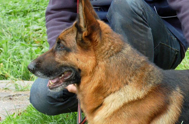 I PŘES DEŠTIVÉ POČASÍ SE KONAL 39. ROČNÍK “TŘEBOVSKÉ STOPY”