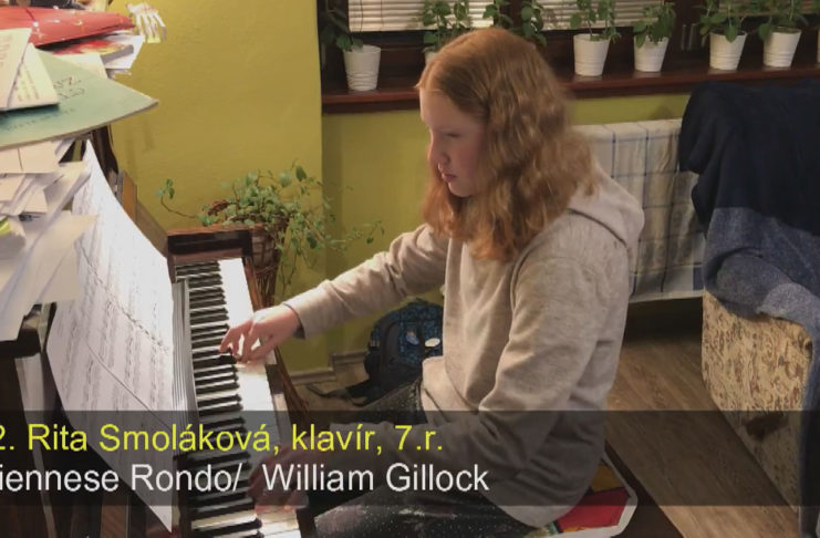 ZUŠ POŘÁDÁ INTERNETOVÉ BESÍDKY, DDM NABÍZÍ ONLINE TESTOVÉ ÚLOHY