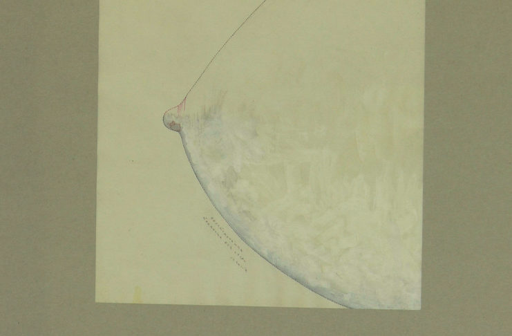 NEJEN KRESBY J. STEKLÍKA JSOU AŽ DO 19. ZÁŘÍ K VIDĚNÍ V GALERII POD RADNICÍ