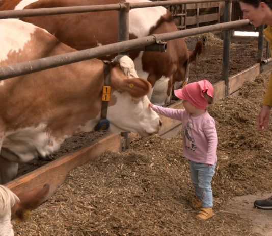 Zemědělka opět otevřela své brány veřejnosti, dorazily davy lidí