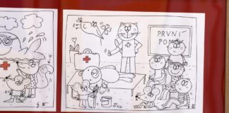 Kočky, myšky i rybička v autě: hravé kresby Evy Jakoubkové rozzářily prostory červeného kříže