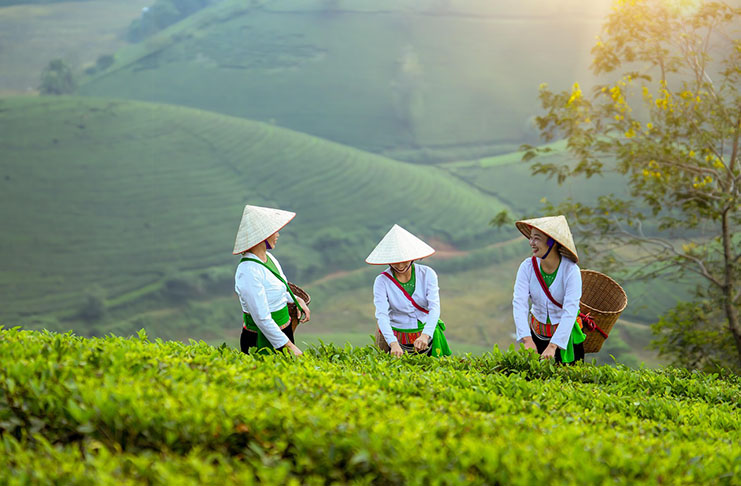 23. Cestovatelský večer – Vietnamem od severu k jihu