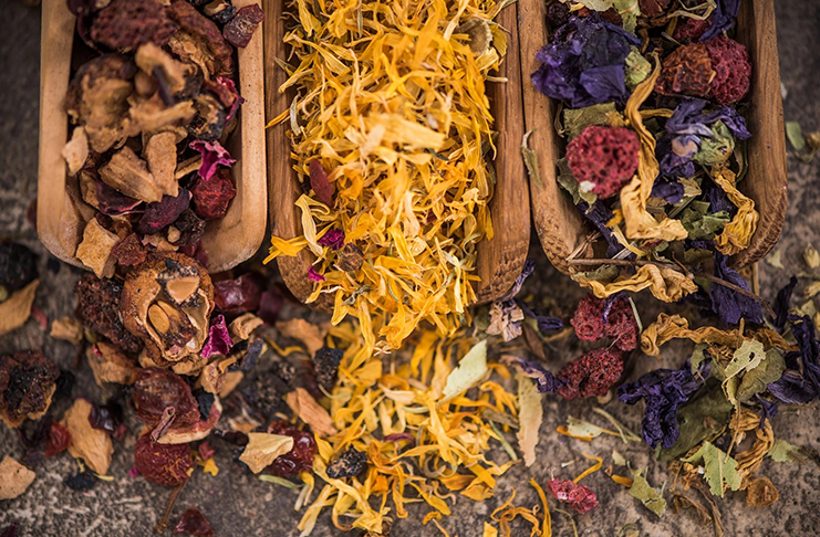 Co dělali naši rodiče jako děti? - Dělali domácí čajovou směs