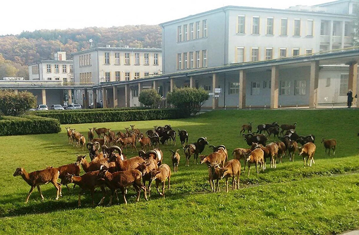 Planeta Praha