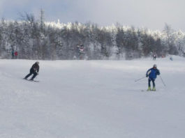 VIDĚLI JSTE DOPRAVNÍ KOLIZI?