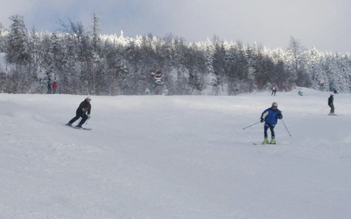 VIDĚLI JSTE DOPRAVNÍ KOLIZI?