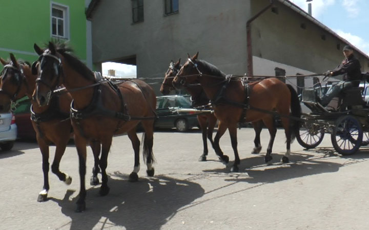 DEN ZEMĚDĚLSKÉ ŠKOLY PŘEDSTAVIL KRÁLIČÍ HOP!