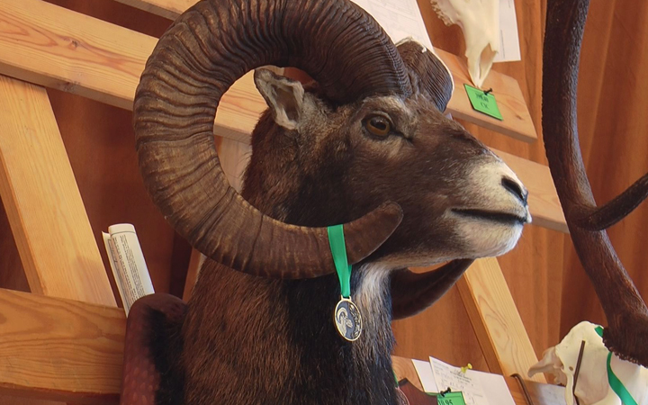 V SÁLE ZÁMKU BYLY VYSTAVENY TROFEJE ZÍSKANÉ V DEVADESÁTI HONITBÁCH