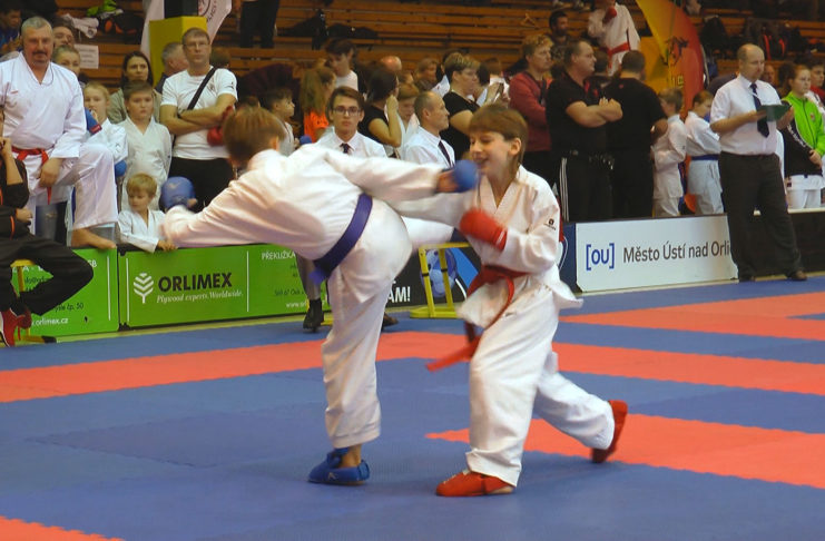 VELKÁ CENA MĚSTA V KARATE PŘILÁKALA PŘES DVĚ STOVKY ZÁVODNÍKŮ