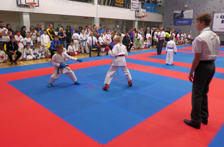 DRUHÉ KOLO ZÁVODŮ V KARATE “ÚSTECKÝ SOPTÍK” PŘILÁKALO TÉMĚŘ 160 DĚTÍ