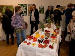 Letohradští zahrádkáři ohromili výstavou plodů, jiřin i originálních klobouků ze sušin