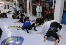 Čeští bojovníci z České Třebové dobývají světová i evropská tatami