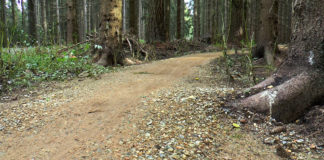 Pět let singletracků: Peklák patří mezi nejoblíbenější bike areály v Česku