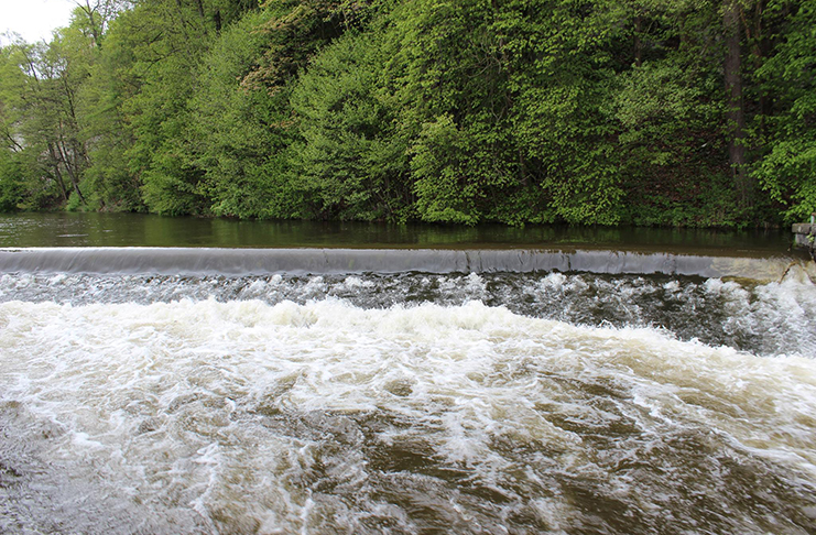 15 km po Divoké Orlici – Memoriál Václava Břízy
