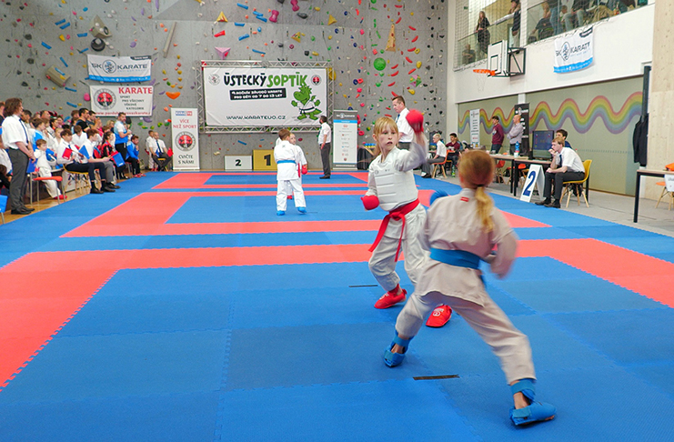 Ústecký soptík a Mistrovství Pardubického kraje Beginner