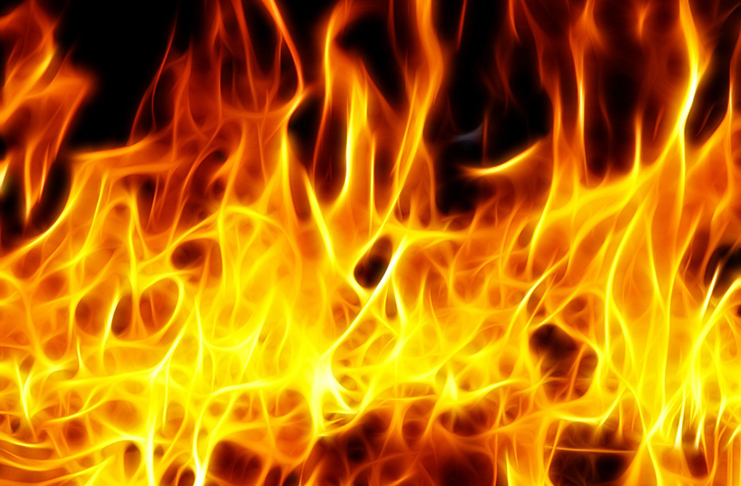 Dobrý sluha, ale…