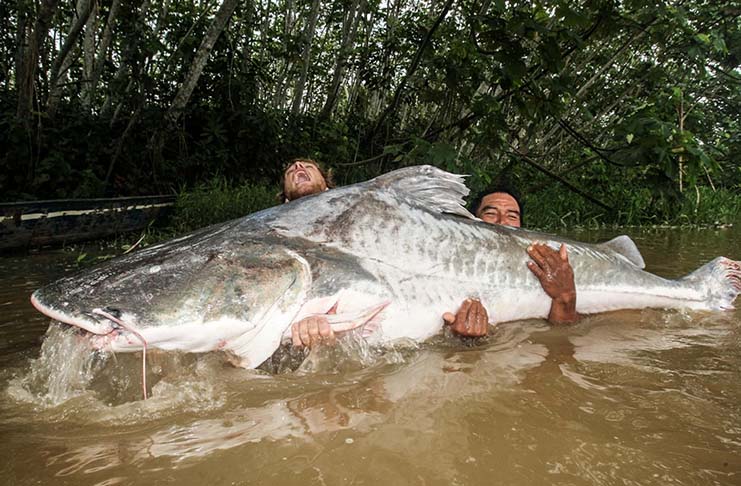 Jakub Vágner: Kongo – Expedice do nitra divočiny