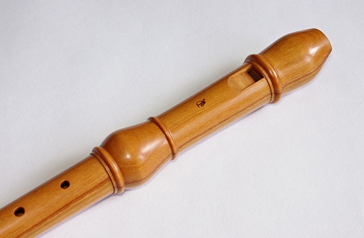 Koncert flétnové třídy Adama France