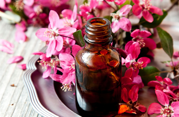 Přednáška Bachovy esence