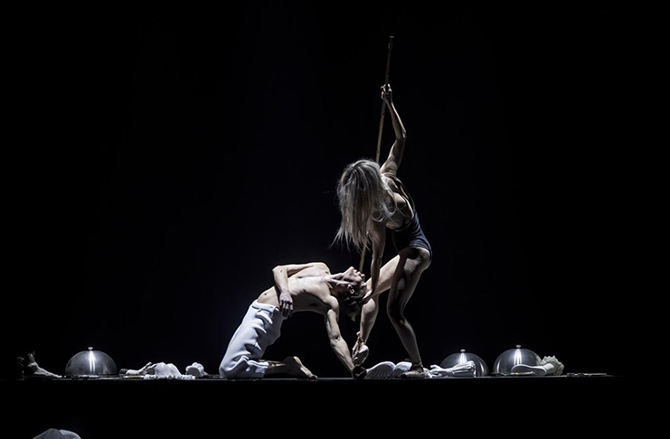 Tantehorse: Light in the Darkness (Čechová+Vizváry)