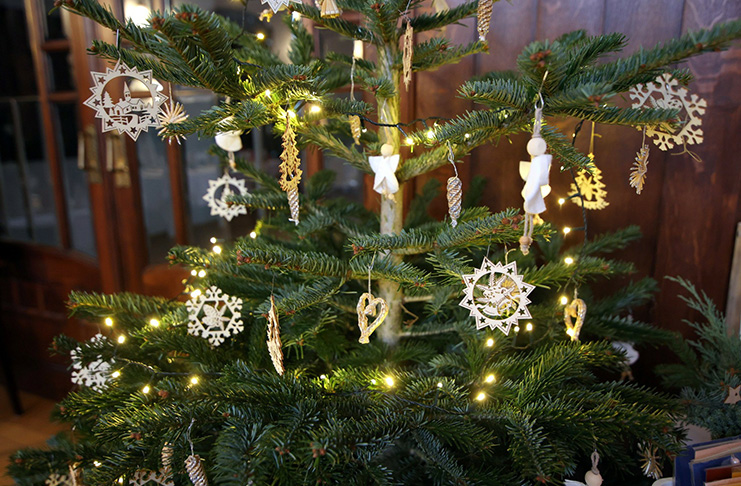 Vánoční výstava ČČK