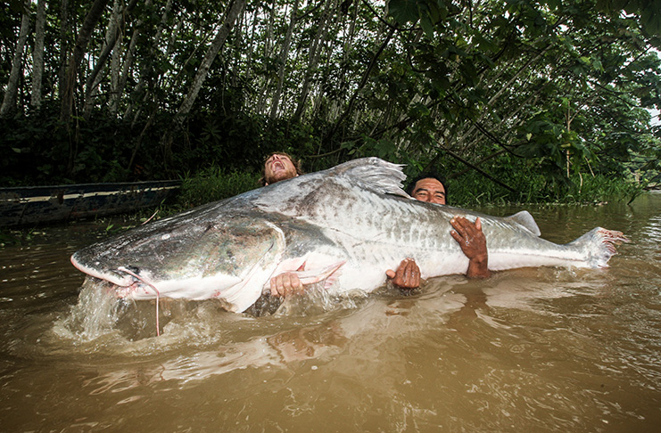 Večer s Jakubem Vágnerem: Sladkovodní giganti