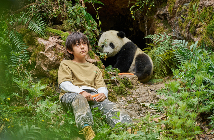 Panda a já